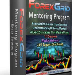 Forex Grid Mentoring Program