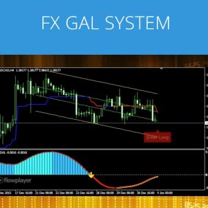 FX Gal System