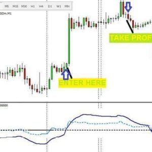 Forex Fast System