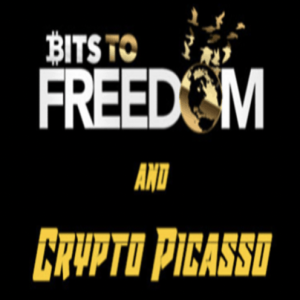 Crypto Picasso Bits to Freedom Video Course