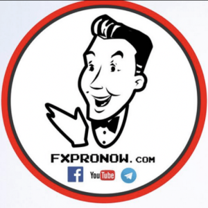 FXProNow – YouAreTheIndicator Course