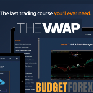 TheVWAP 2023 + TOS & TradeStation indicators