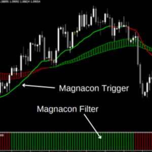 NEW Forex Magnacon by Russ Horn + BONUS