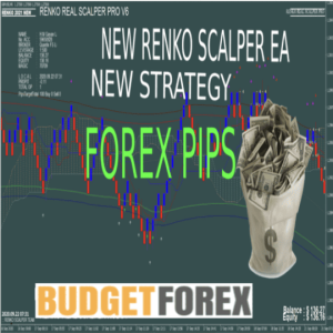 NEW RENKO SCALPER PRO v8