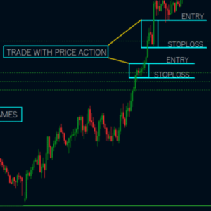 TWK Auto Support & Resistance v3