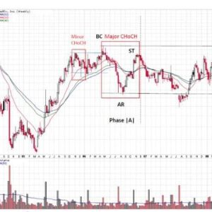 Wyckoff Plus! Using Technical Analysis and Wyckoff Tools Together