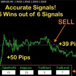 Scalper 100Pips