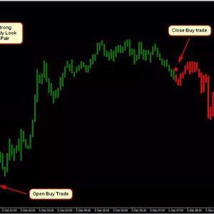 NeuroShell Forex System