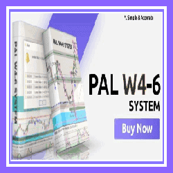 PAL W4-6 SYSTEM