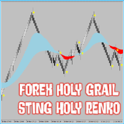 FHG – STING HOLY RENKO