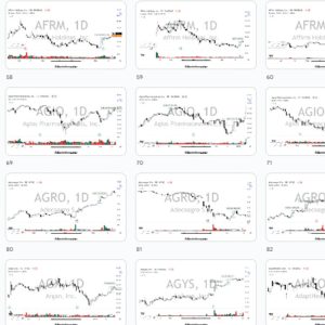 SprintInvestor’s Setup Model Books 500+ Setups