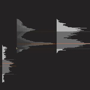 Price Action Volume Trader – Trading with Market and Volume Profile