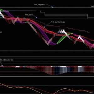 PHOENIX INDICATORS SYSTEM NT8