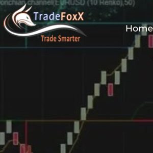 TradeFoxx Auto Trader NT8