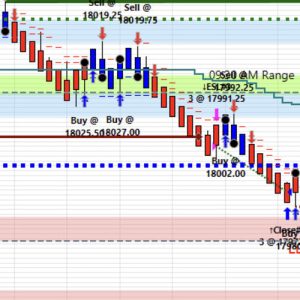 Blue Wave Trading Precision AutoTrader NT8